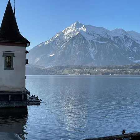 Haus Der Schwalbe