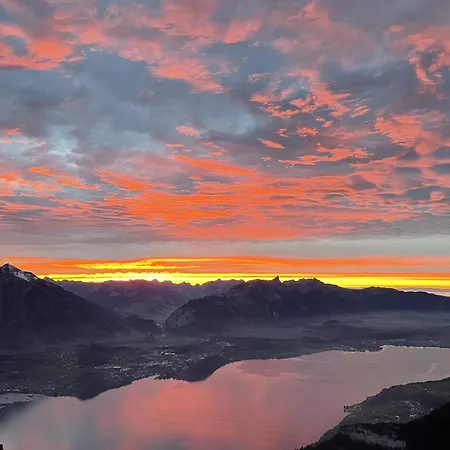 Haus Der Schwalbe 펜션 *