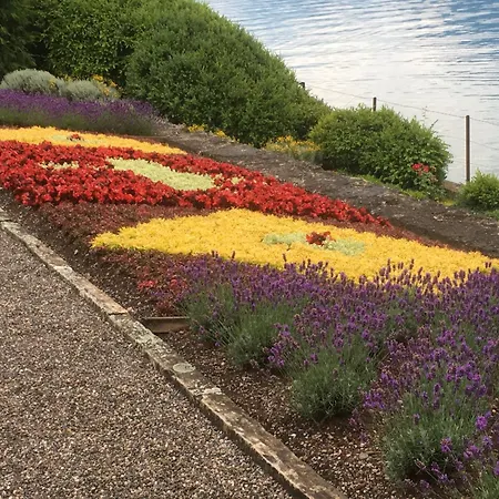 Haus Der Schwalbe 펜션