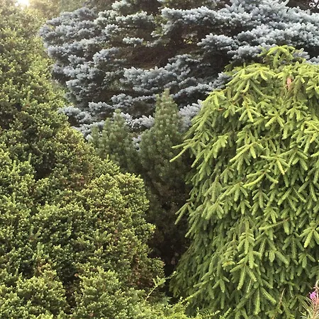 Casa de Férias Haus Der Schwalbe *