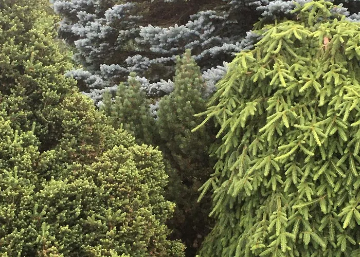 Feriehus Haus Der Schwalbe *